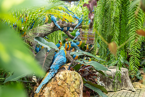 Nong Nooch - Tropical Garden - Pattaya, Thailand